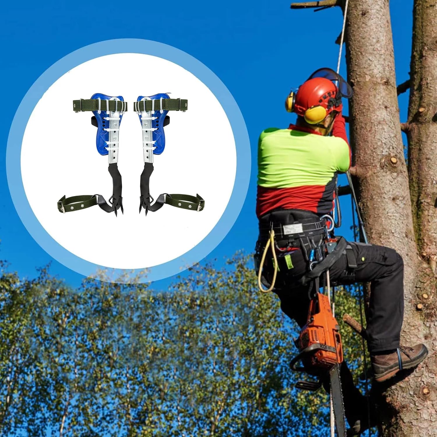 Tree Climbing Spikes Set, 1 Pair Adjustable 304 Stainless Steel Tree Pole Climbing Shoes Tool with Non-Slip Pedal for Logging, Hunting Observation, Fruit Picking, Jungle Survival.