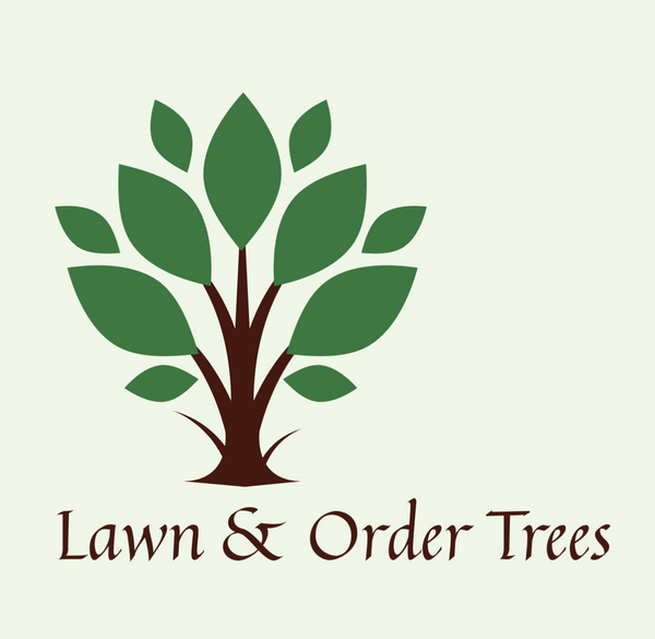 Lawn & Order Trees